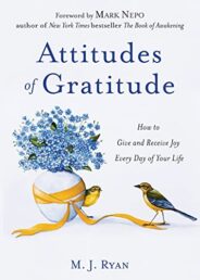 attitudes of gratitude Book Review