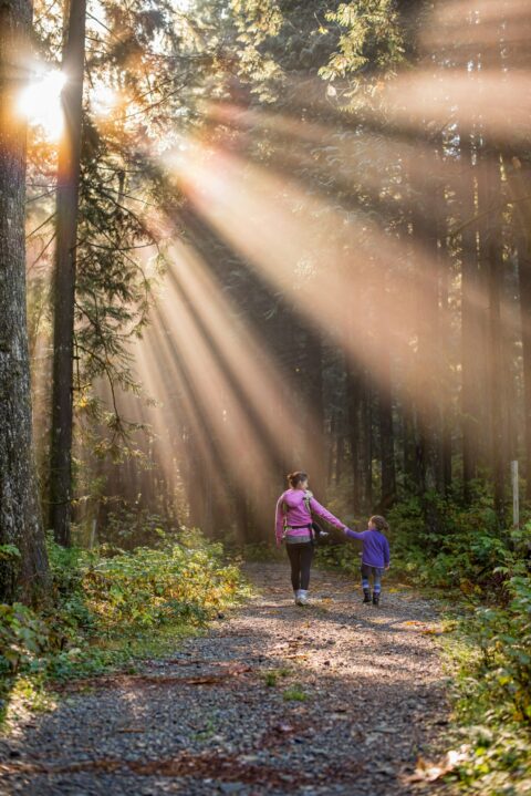Nature Walk
